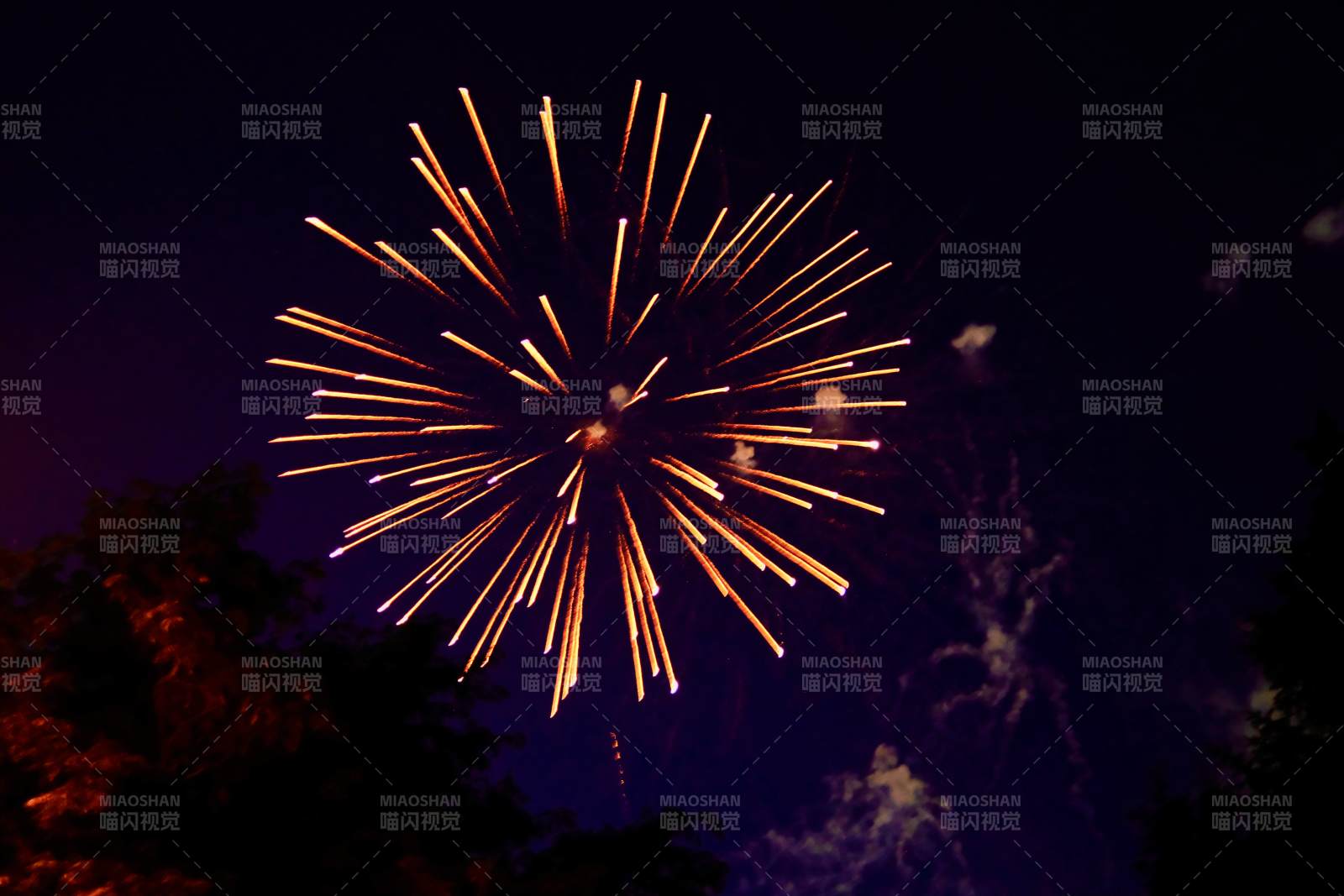 夜空中的煙花綻放
