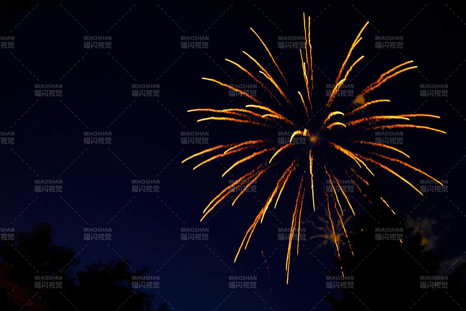 夜空中的煙花綻放