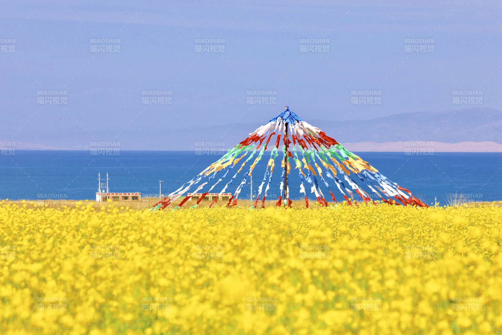 青海湖油菜花海與彩色經(jīng)幡