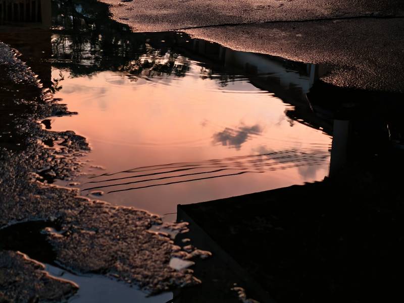夕陽映水 靜謐倒影