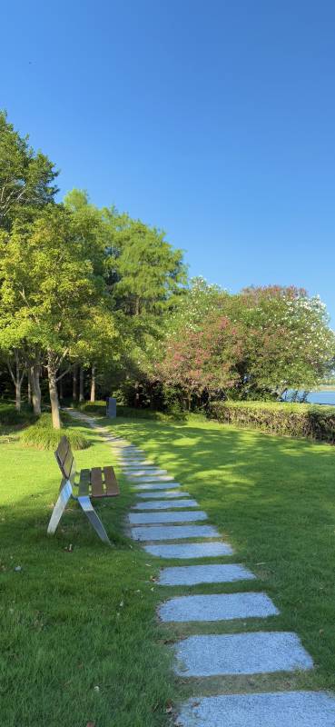 公園小徑 綠樹成蔭
