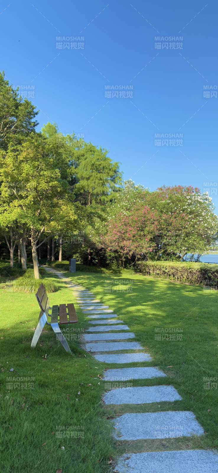 公園小徑 綠樹成蔭
