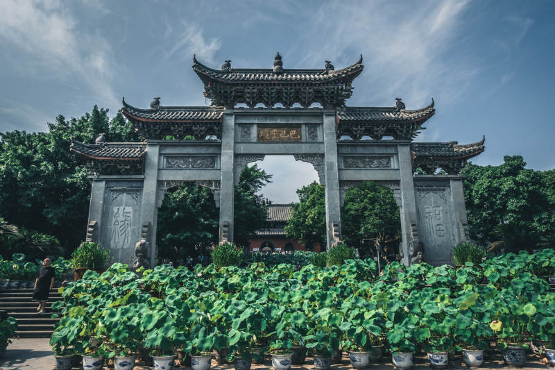 古建筑前的綠植景觀