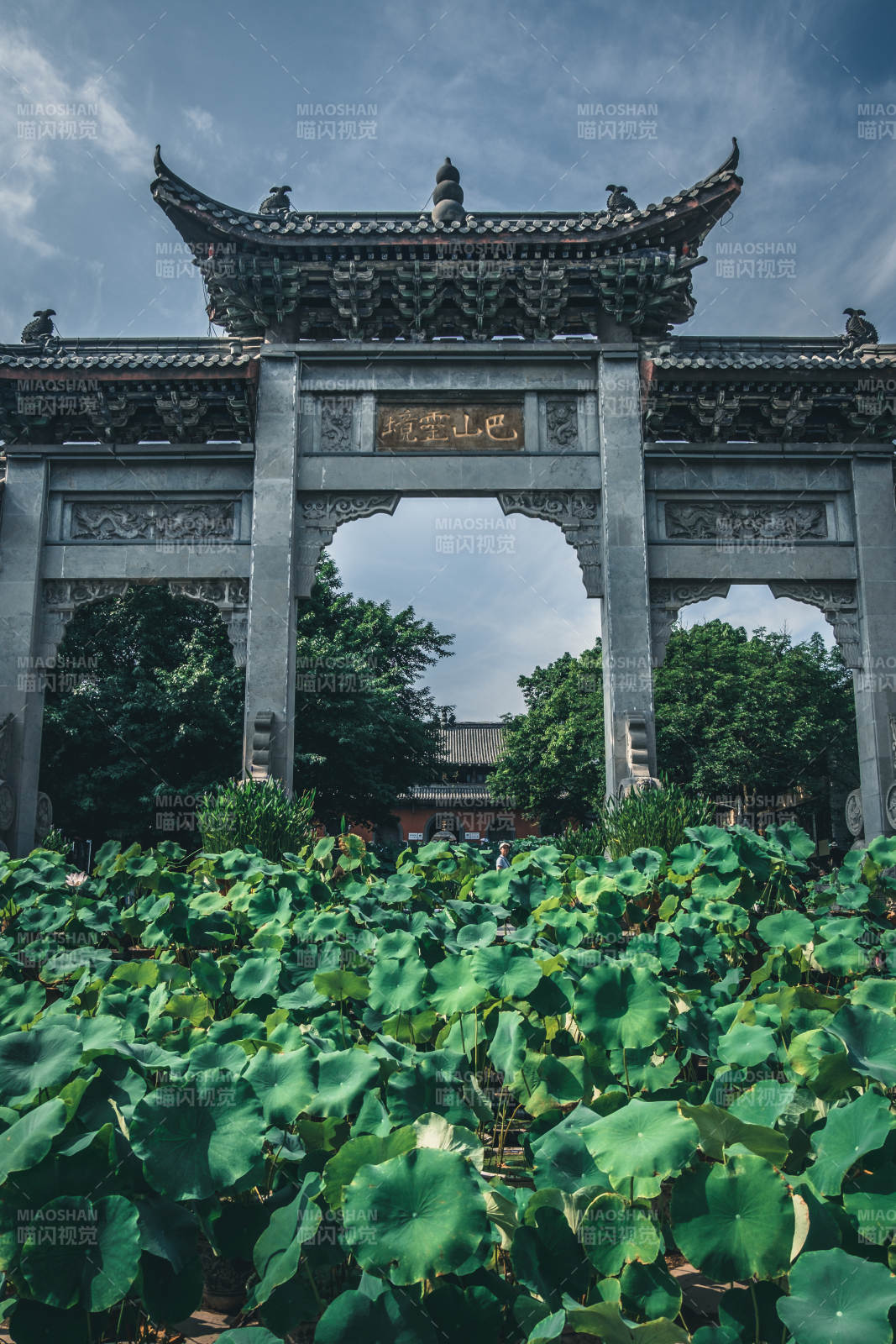 古寺門(mén)前荷葉茂盛