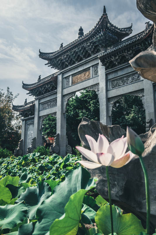 古亭荷塘 靜謐雅致