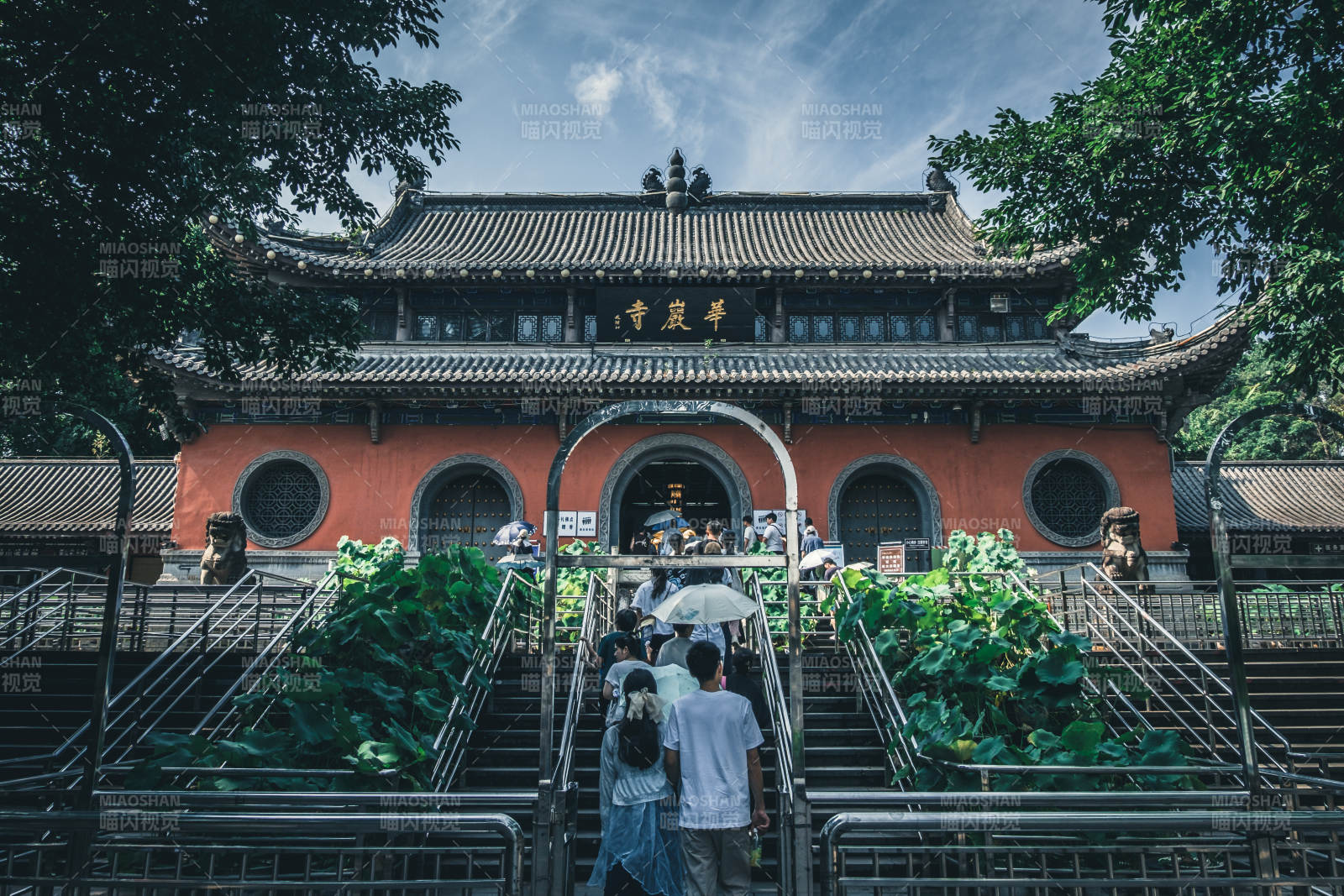 古寺門前綠意盎然