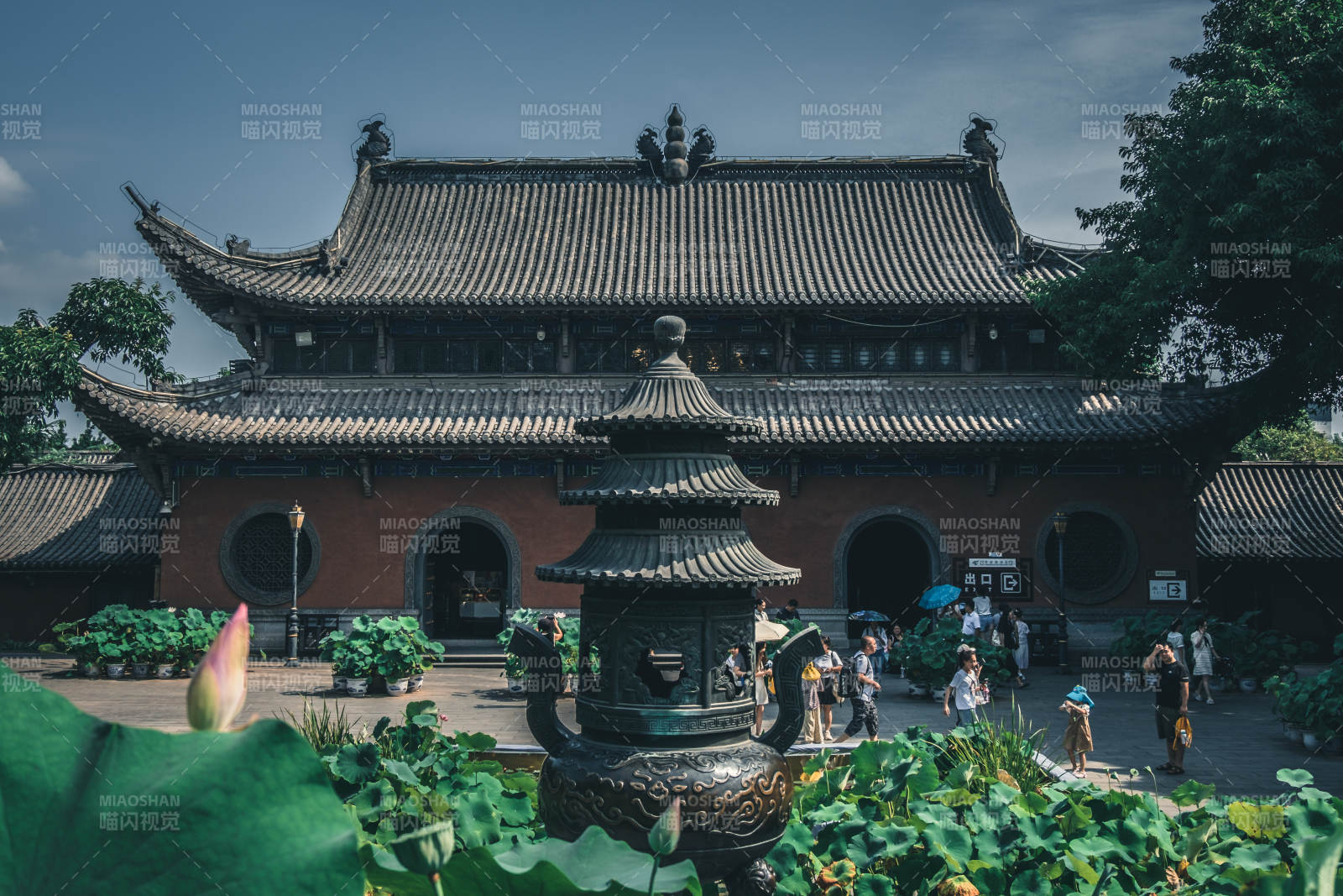 古寺蓮池 靜謐幽雅