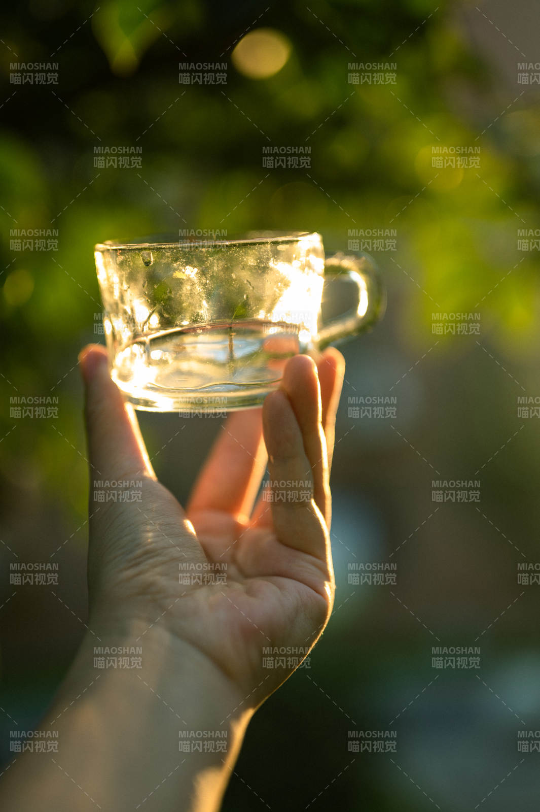 手捧透明杯 陽光灑滿心
