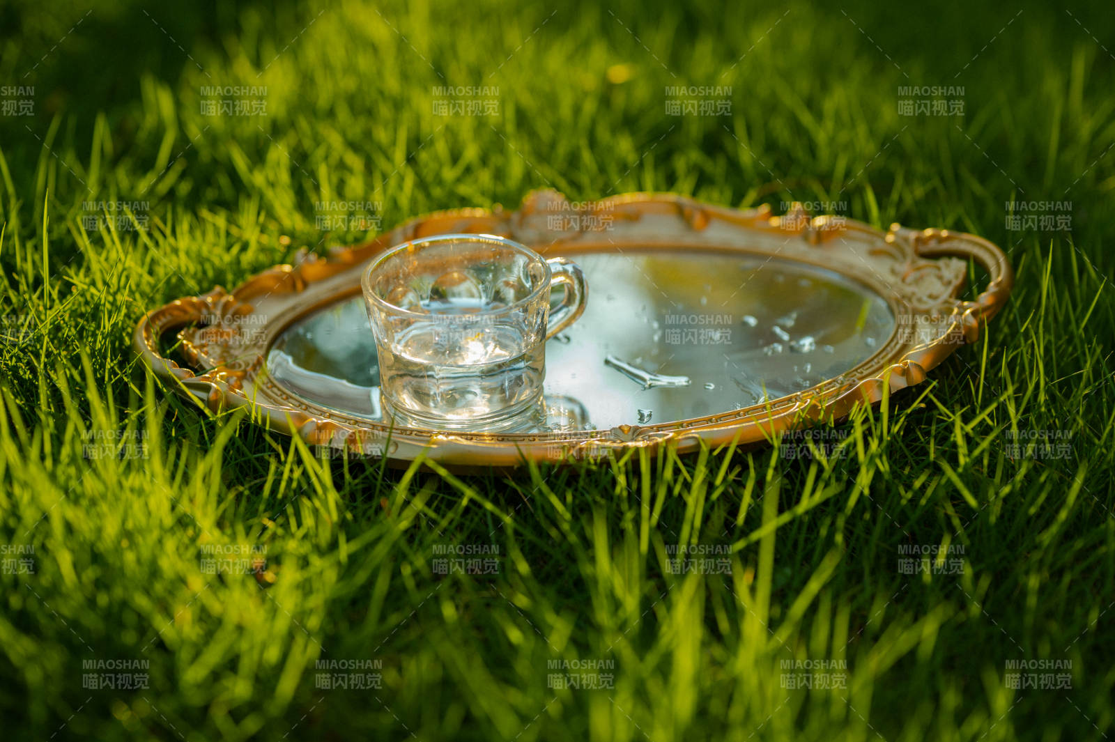 草地上的茶杯與托盤
