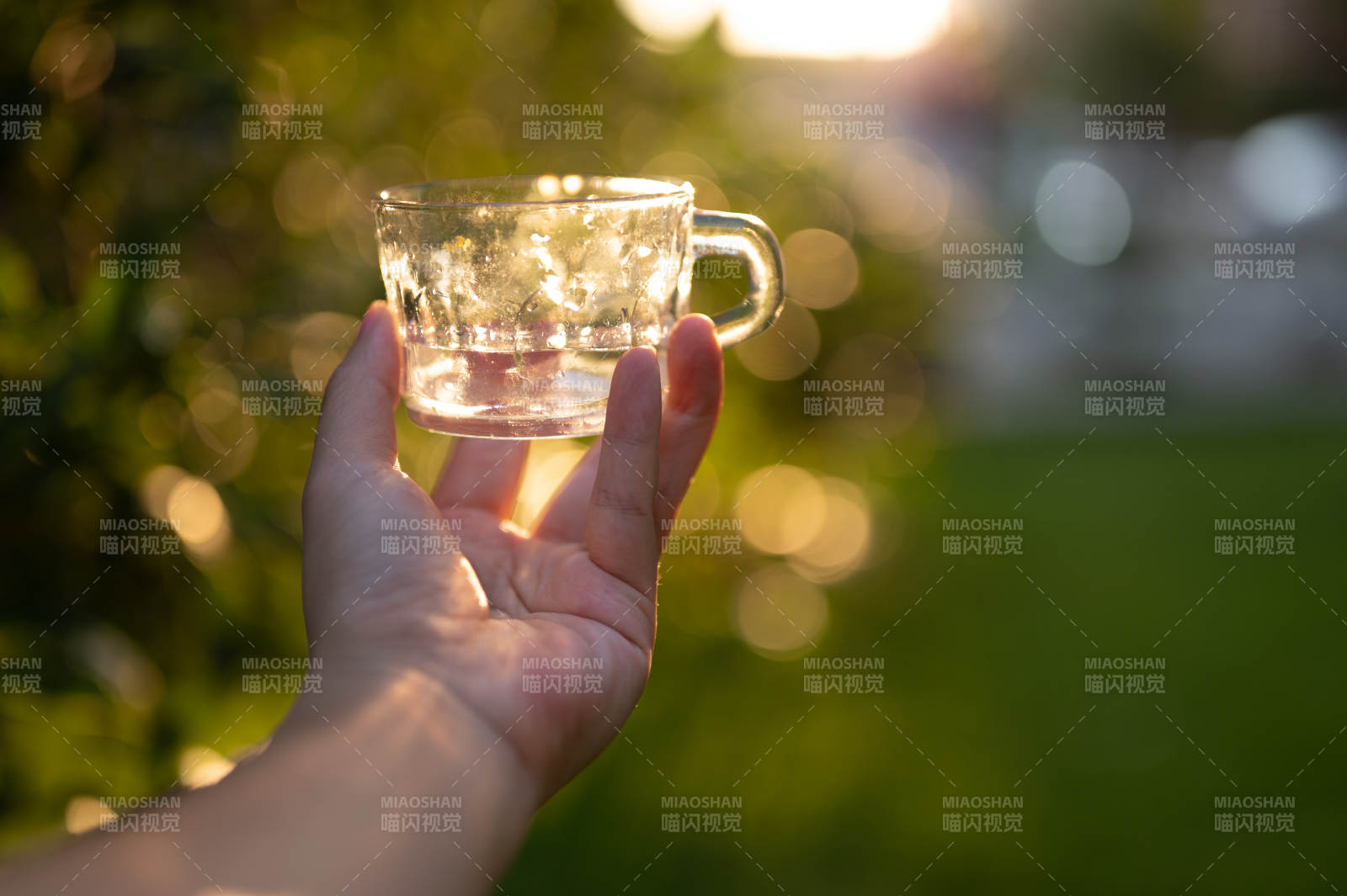 手捧水杯 陽光灑落