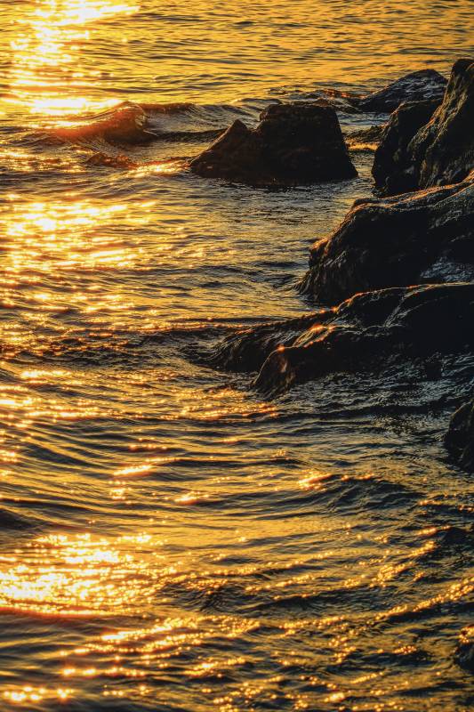 夕陽下的金色海浪