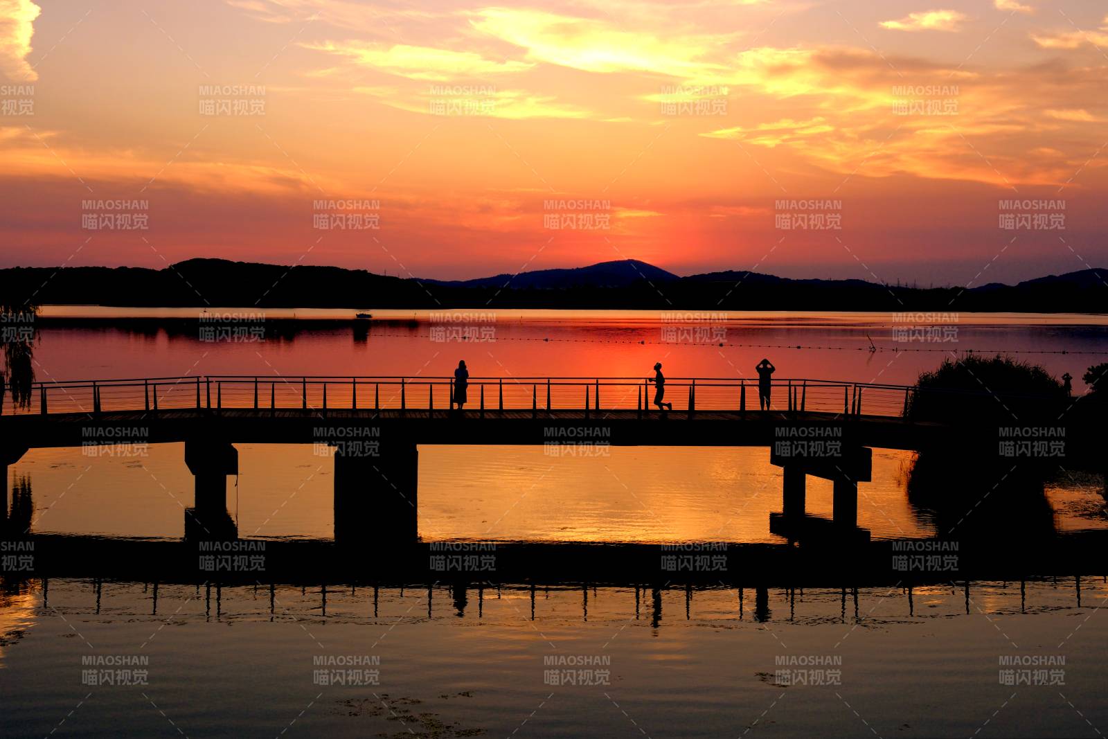 夕陽下的橋影倒映