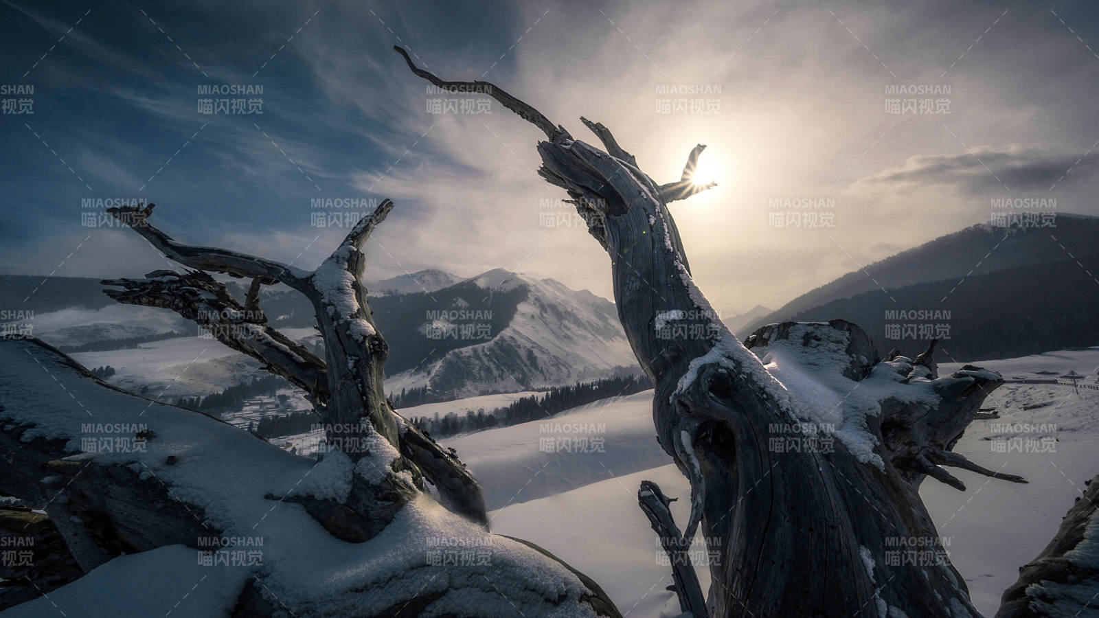 雪中枯木映山景
