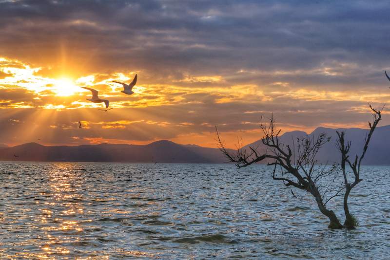 湖畔夕陽 飛鳥歸巢