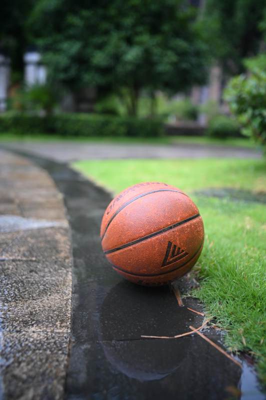 雨后草地上的篮球