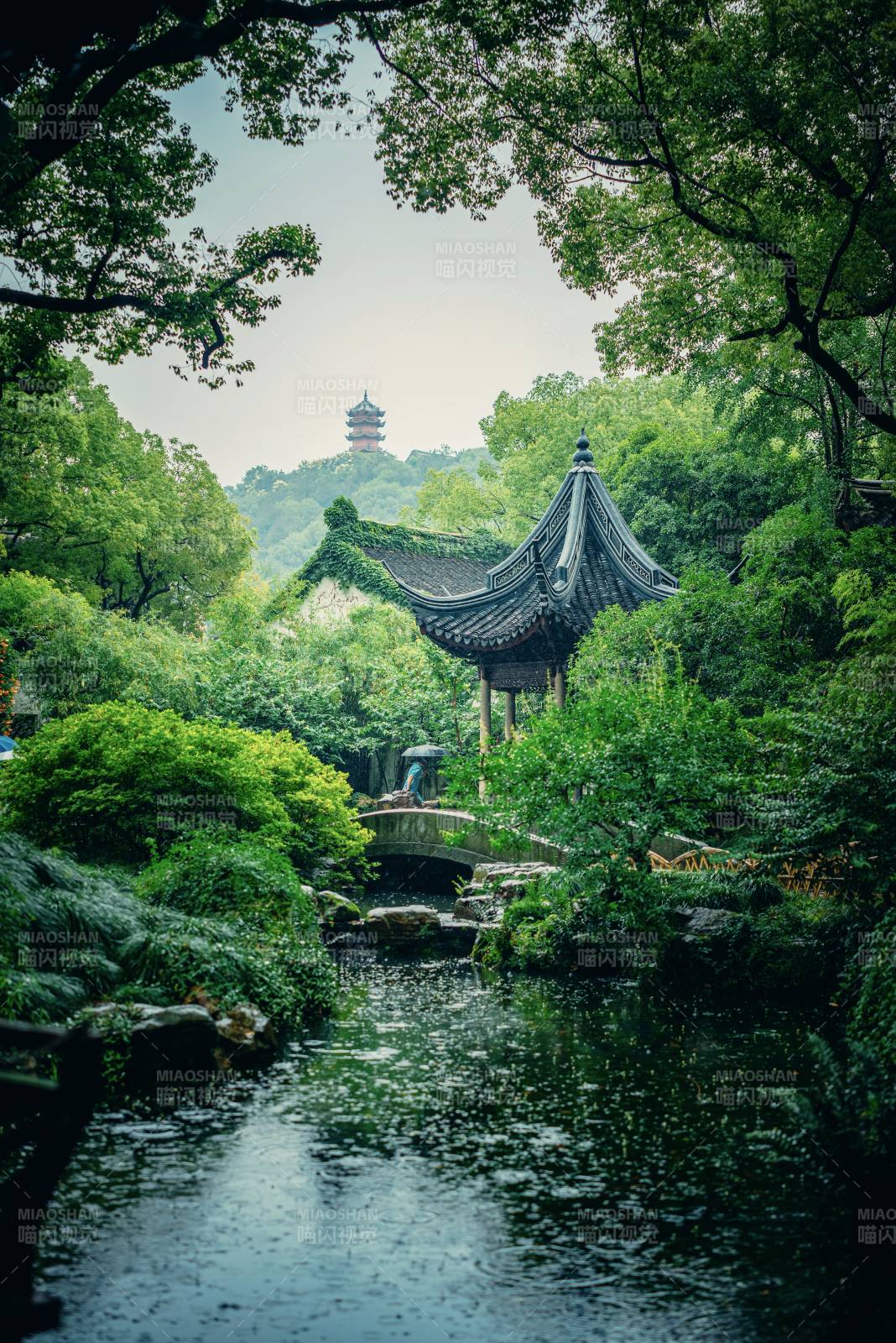 古典園林 綠意盎然
