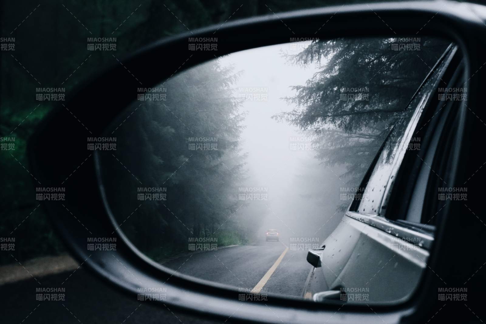 雨中后視鏡里的森林路