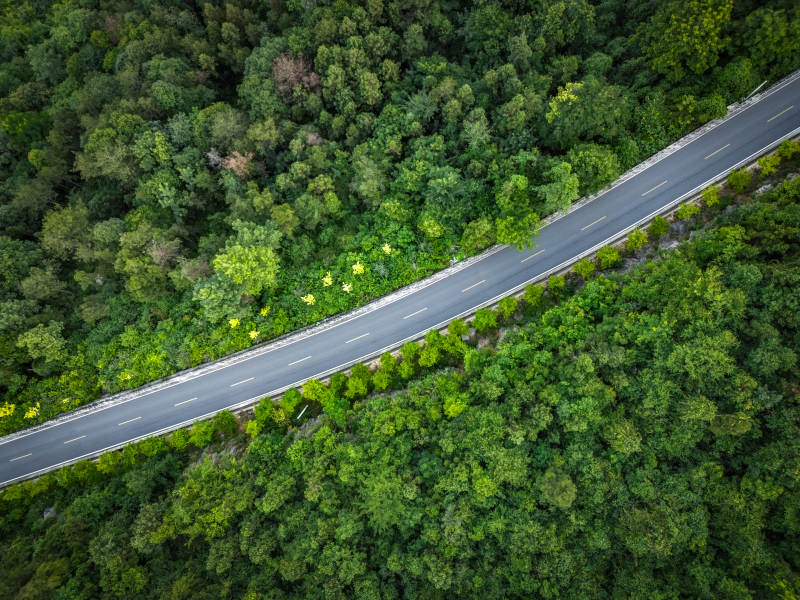 恩施林场中的蜿蜒公路