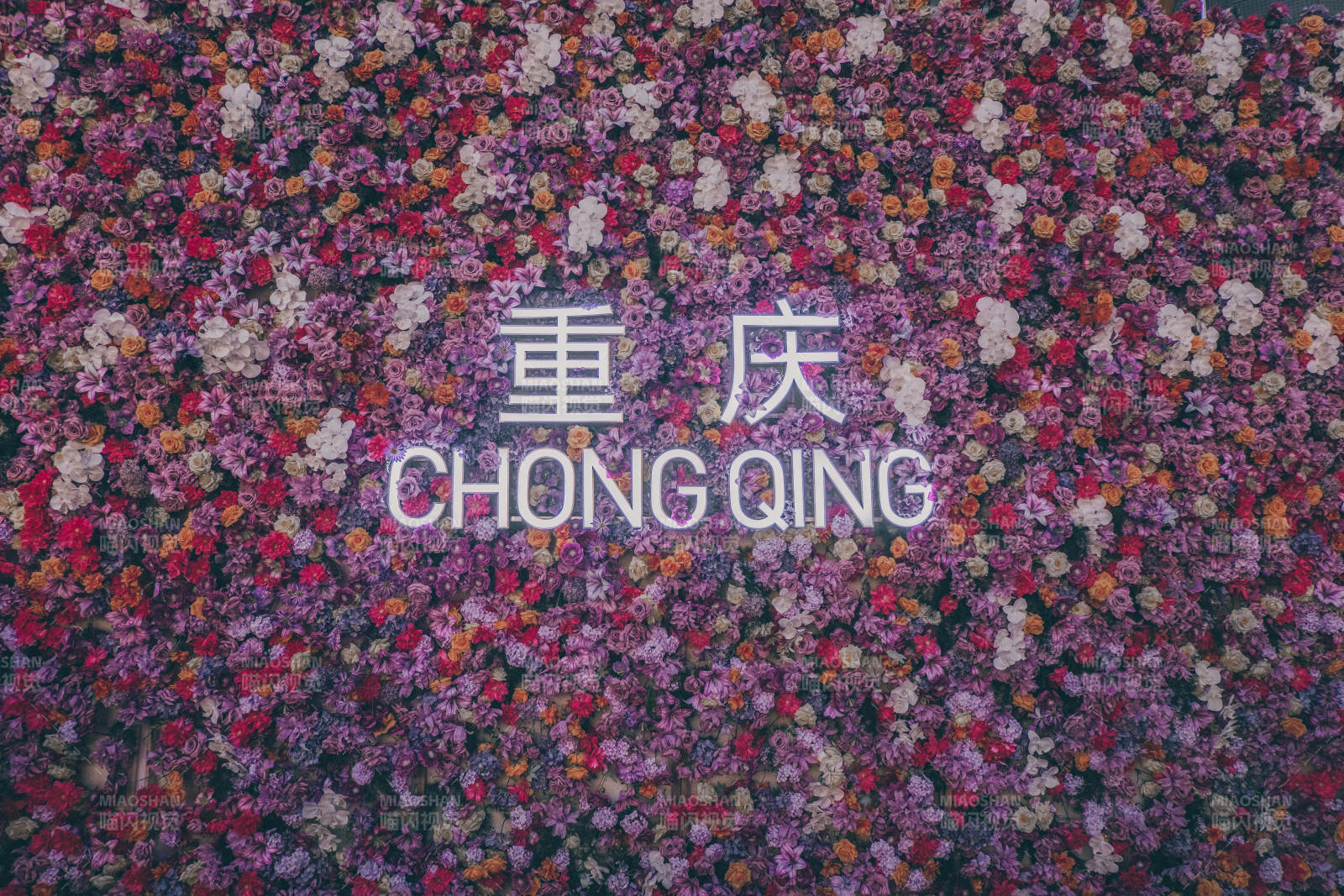 重慶花海霓虹燈夜景