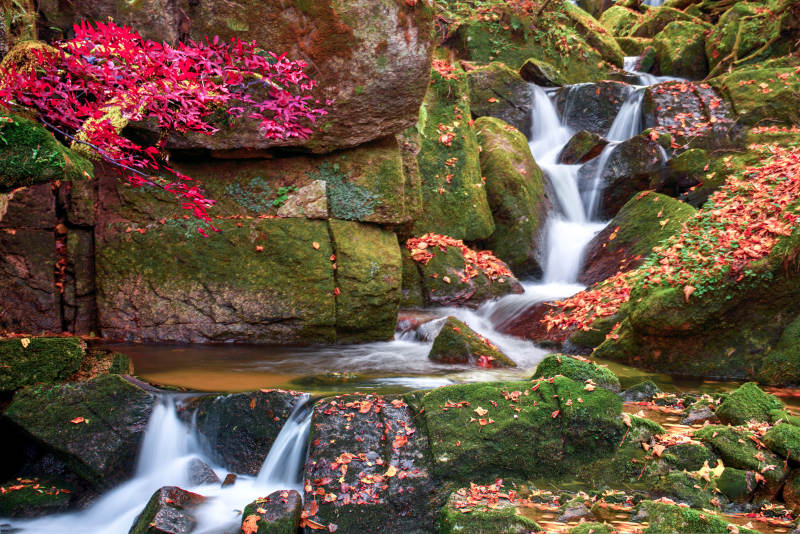 秋日溪流 红叶映水