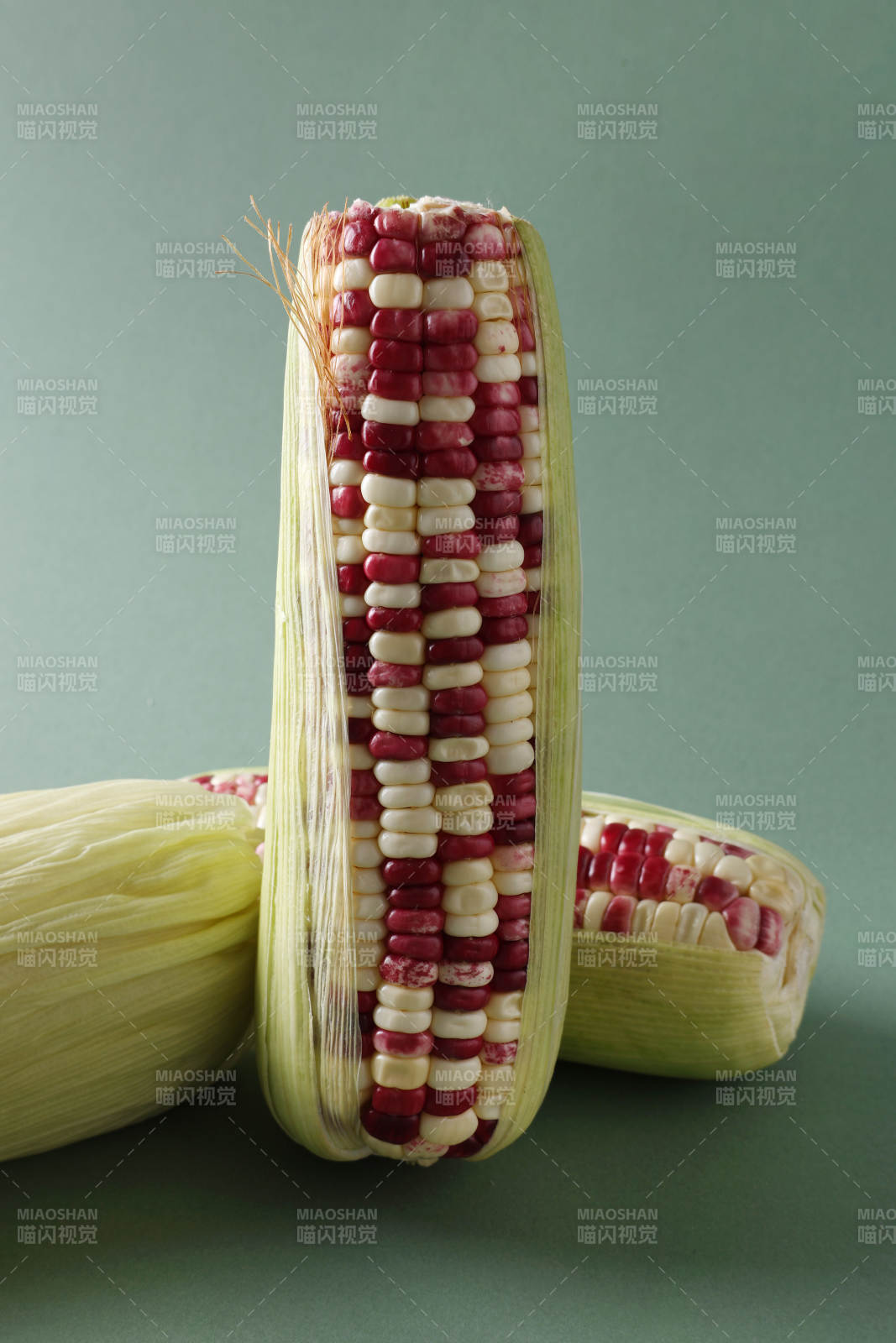 彩色玉米特寫(xiě)