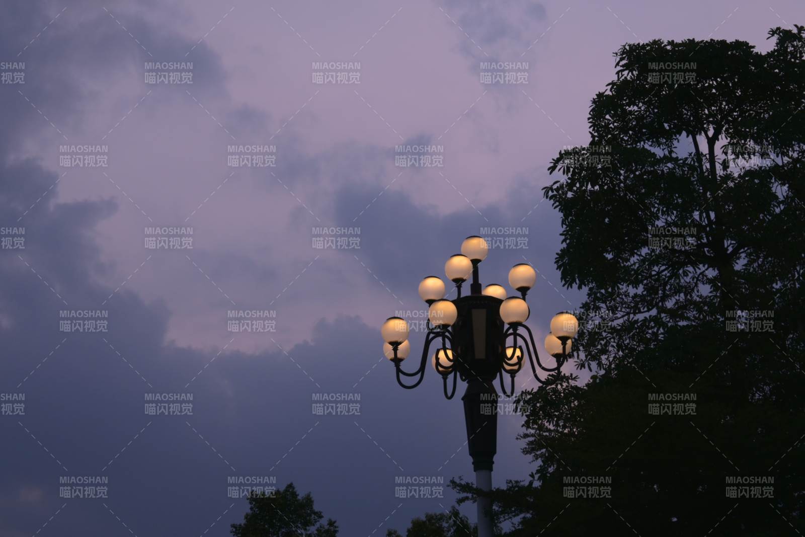 黃昏路燈下的寧靜景象