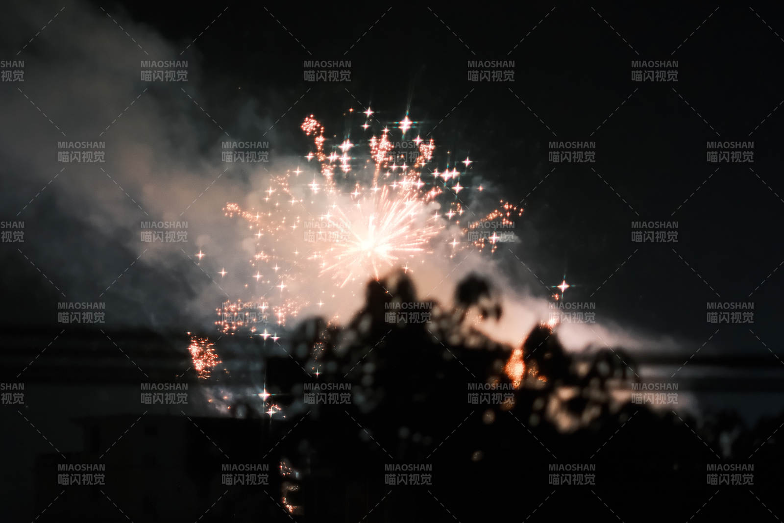夜空中的煙花綻放