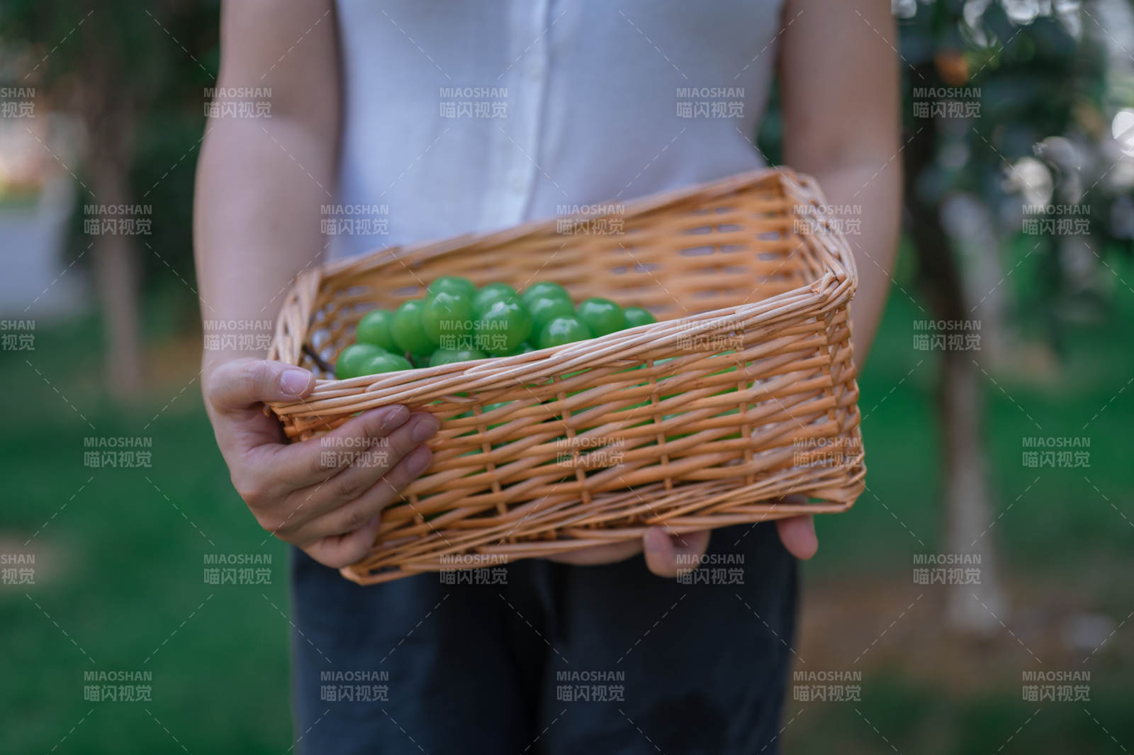 手捧竹籃裝滿青果