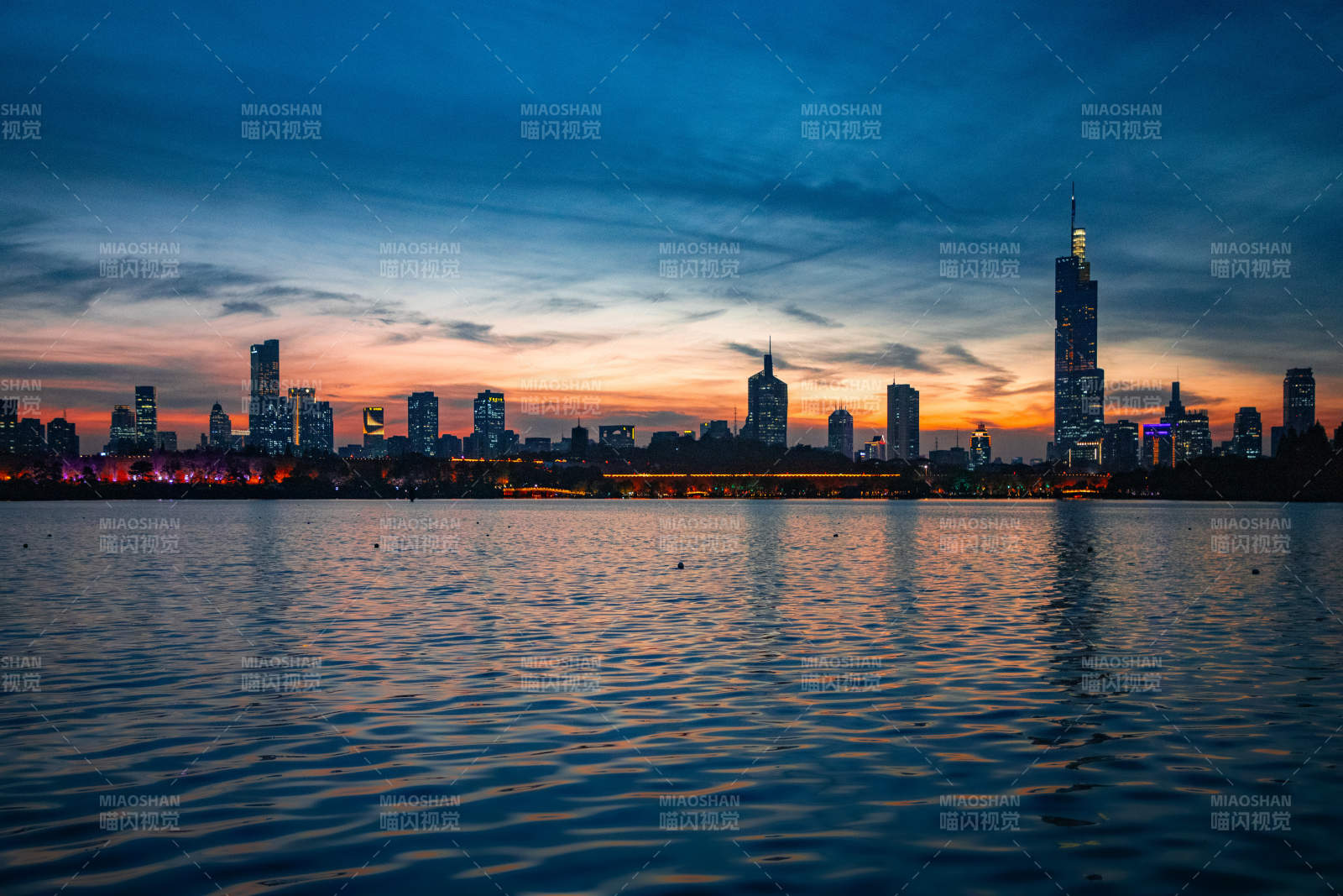 南京玄武湖湖畔夜景剪影