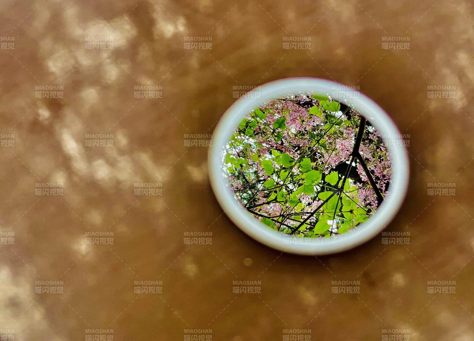法源寺鏡中丁香花影映春光