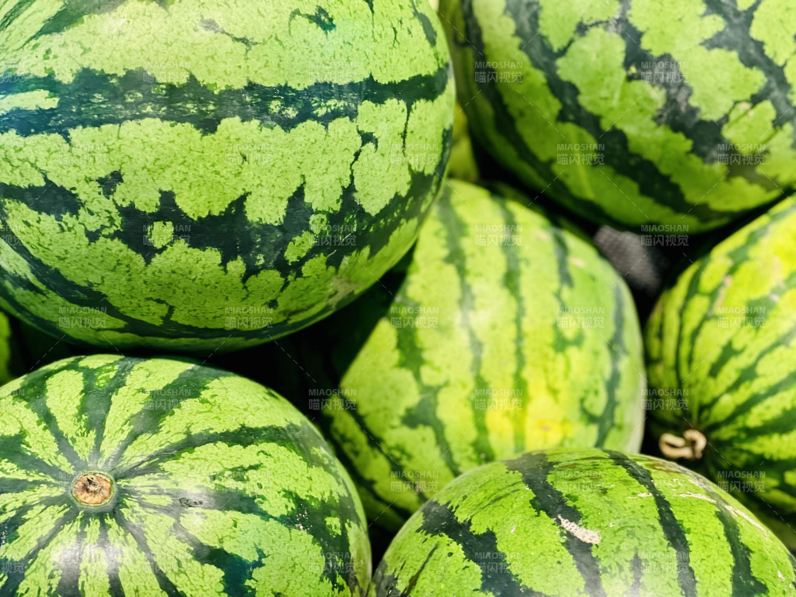 夏日清涼西瓜堆