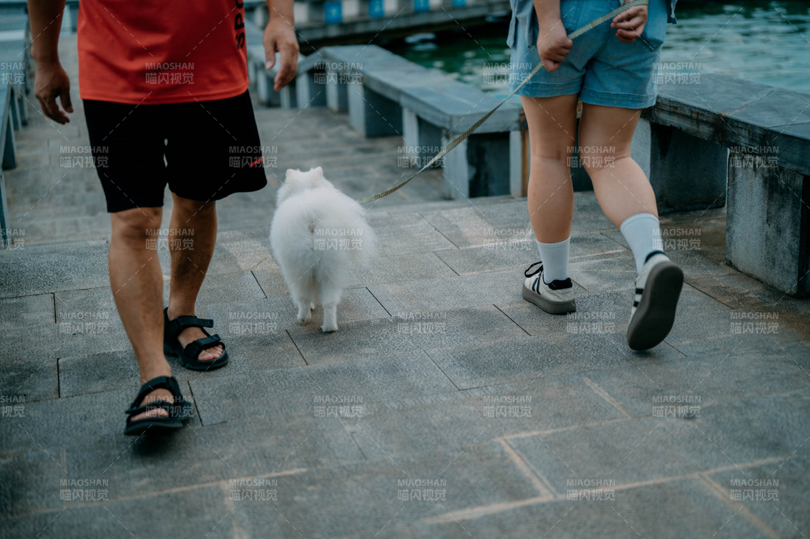 散步時(shí)光 人與狗的陪伴