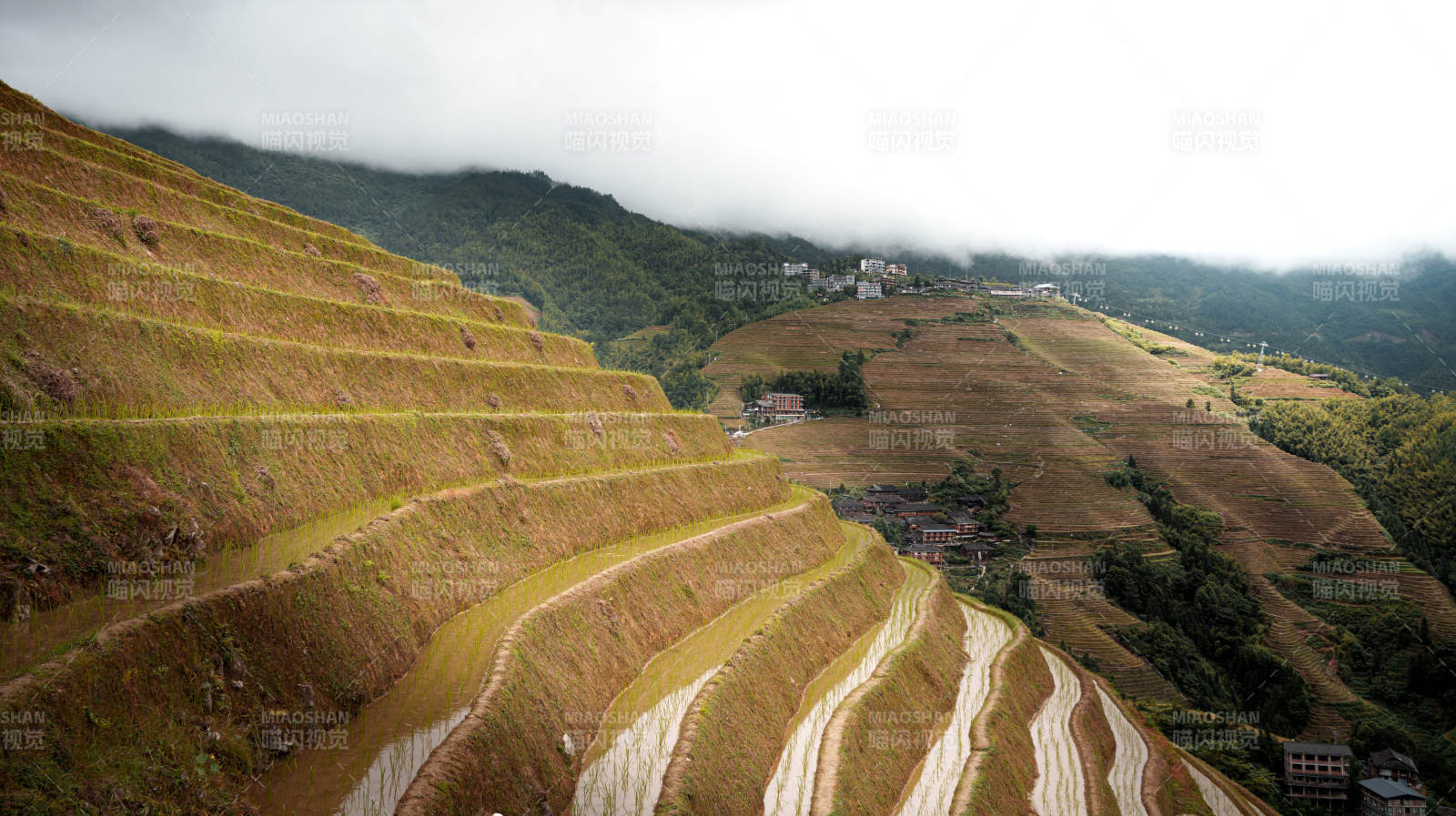 梯田云霧繚繞 山間美景-桂林龍脊梯田