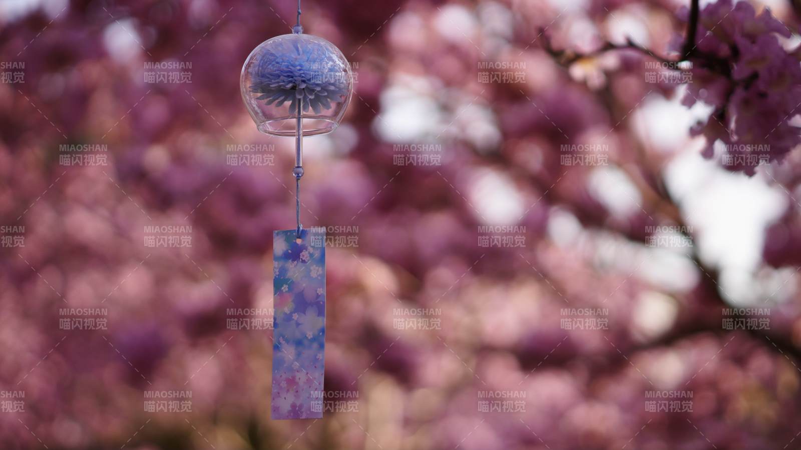 風(fēng)鈴與櫻花的浪漫邂逅