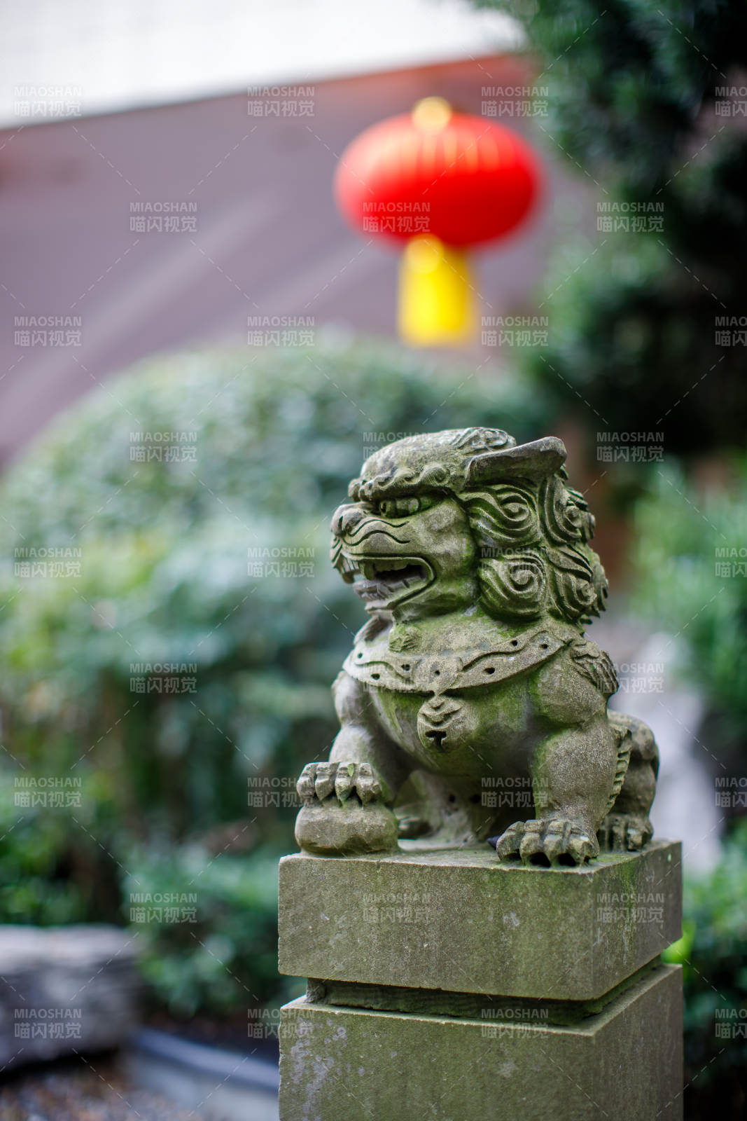 石獅與紅燈籠的靜謐場(chǎng)景