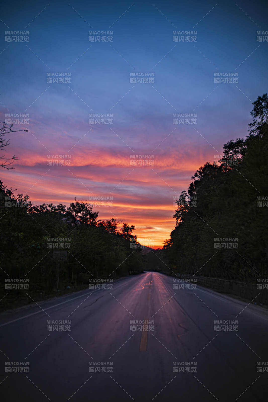 夕陽下的寧靜公路