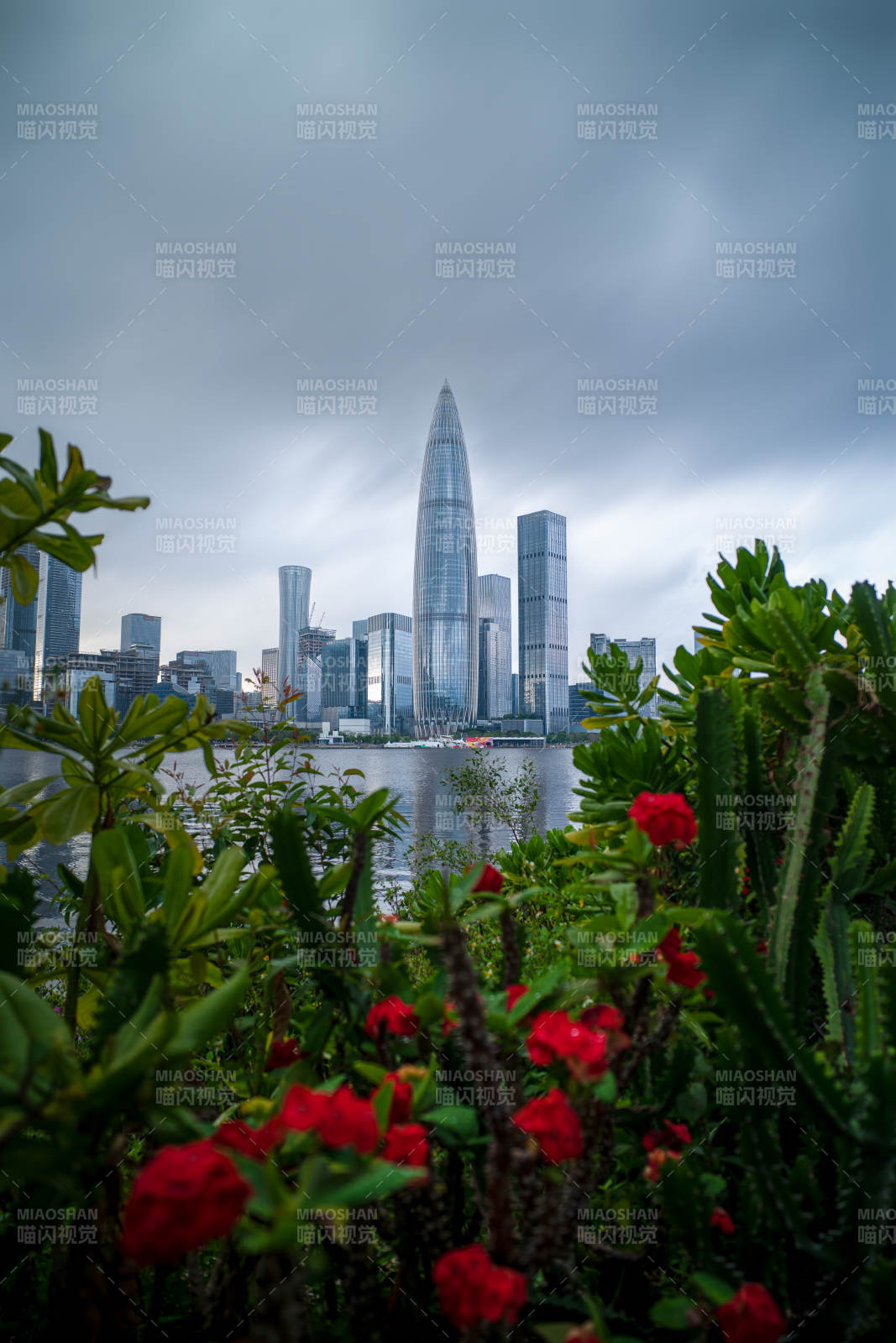 深圳城市天際線與花園美景