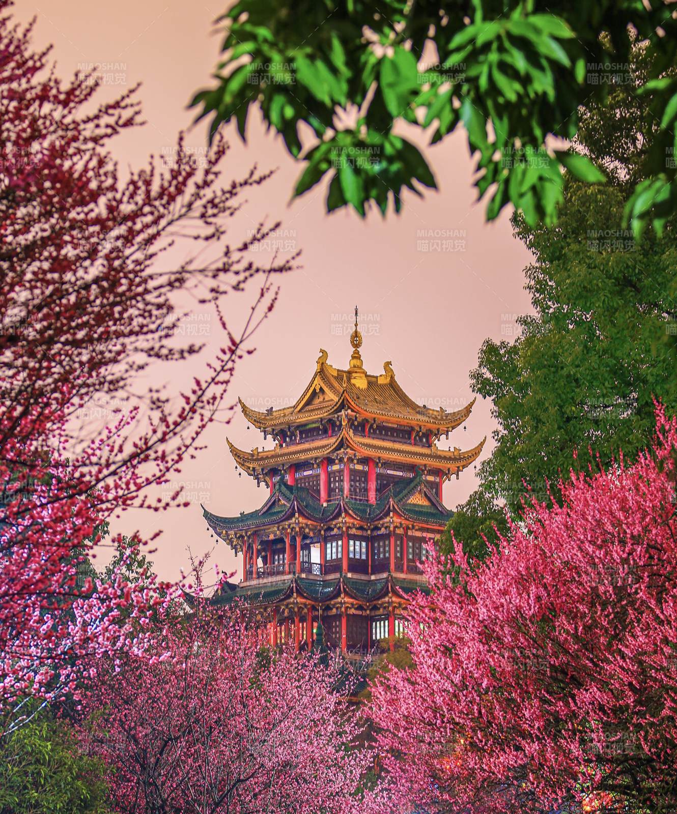 鴻恩寺春日古塔花海映襯圖