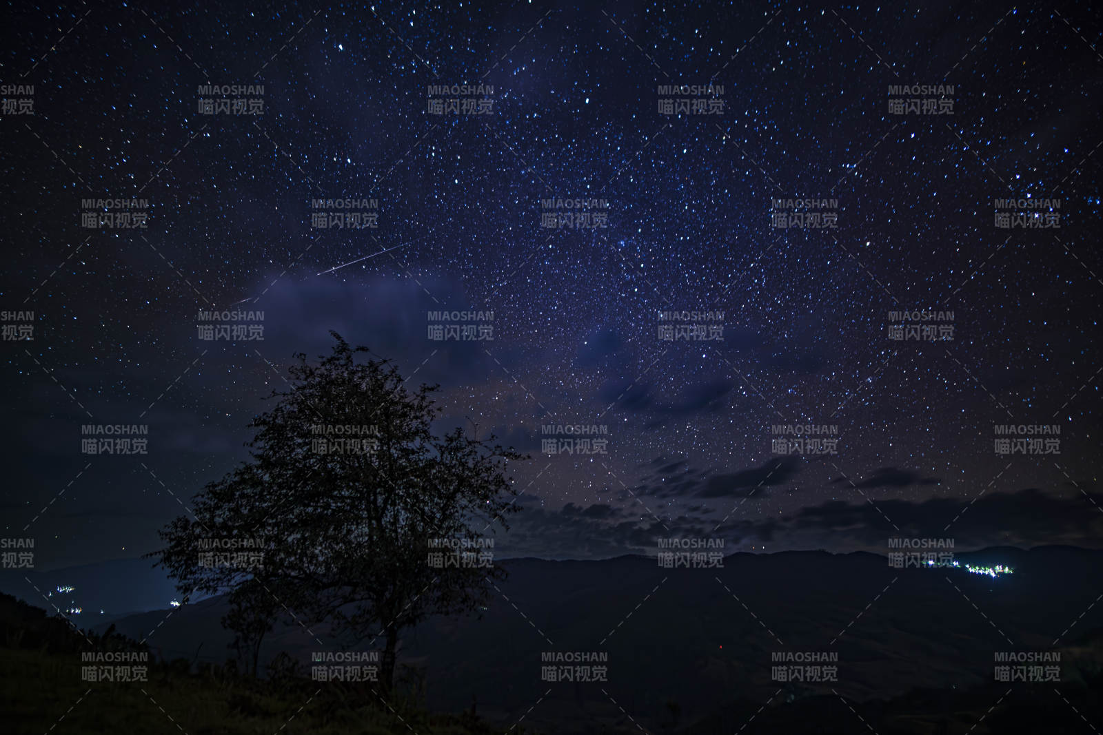 夜空星辰下的孤樹剪影