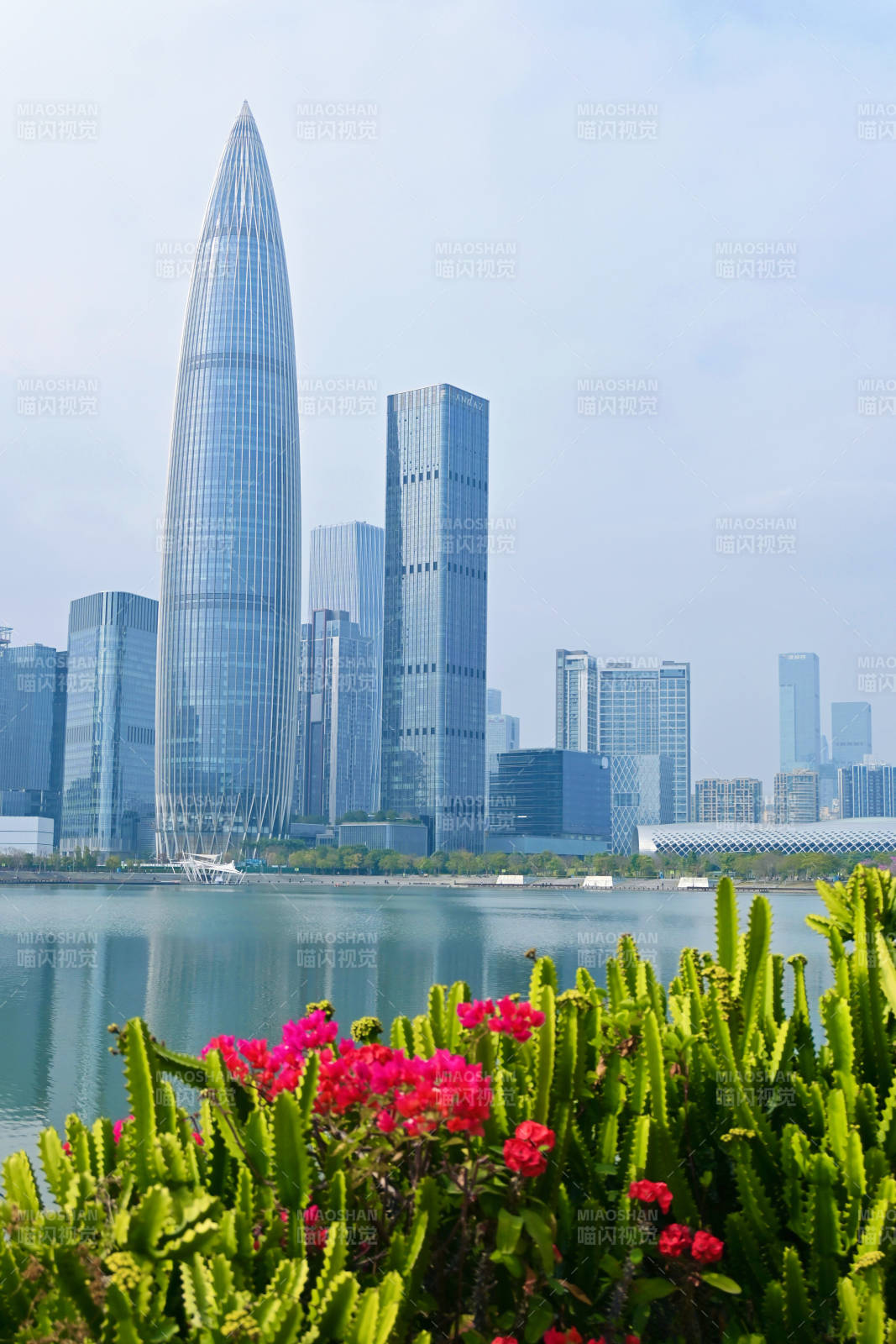 深圳灣畔現(xiàn)代都市風(fēng)光