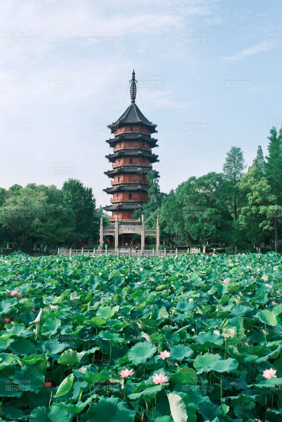 荷花池畔古塔映翠綠（湖州飛英塔）