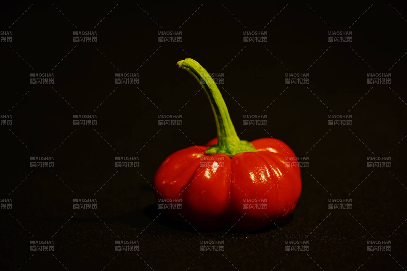 紅色辣椒的靜謐之美