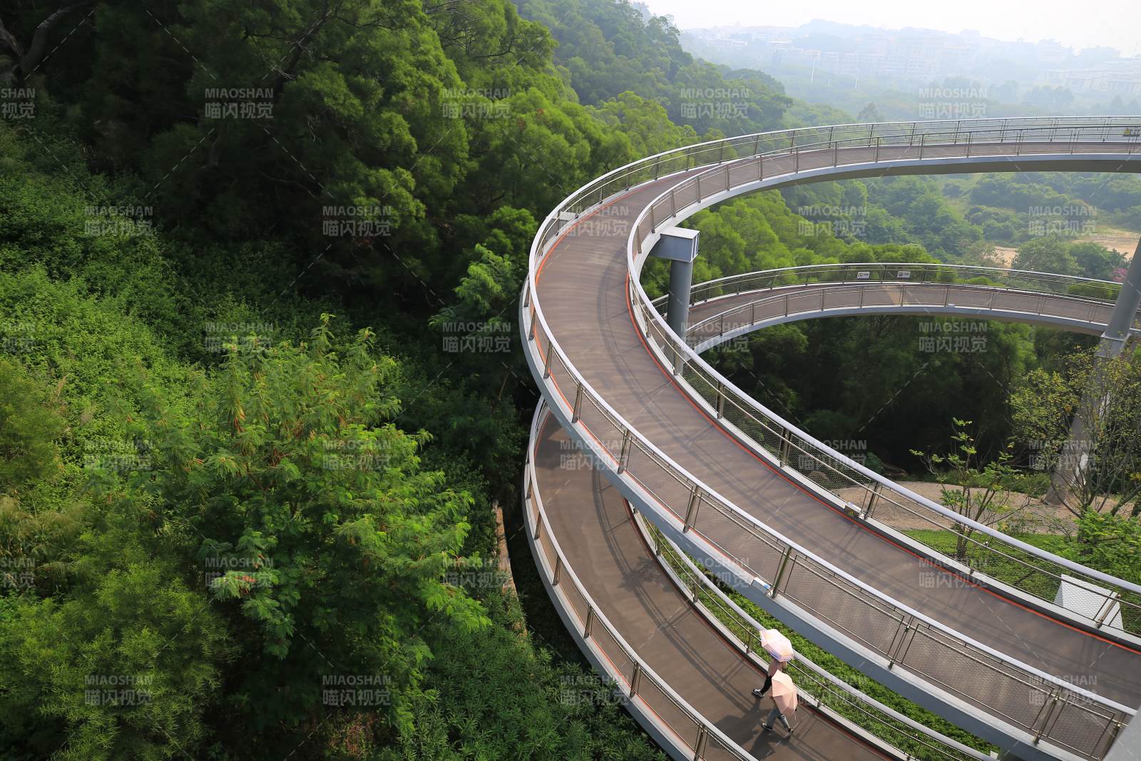 廈門市空中健康步道 綠意盎然林海線