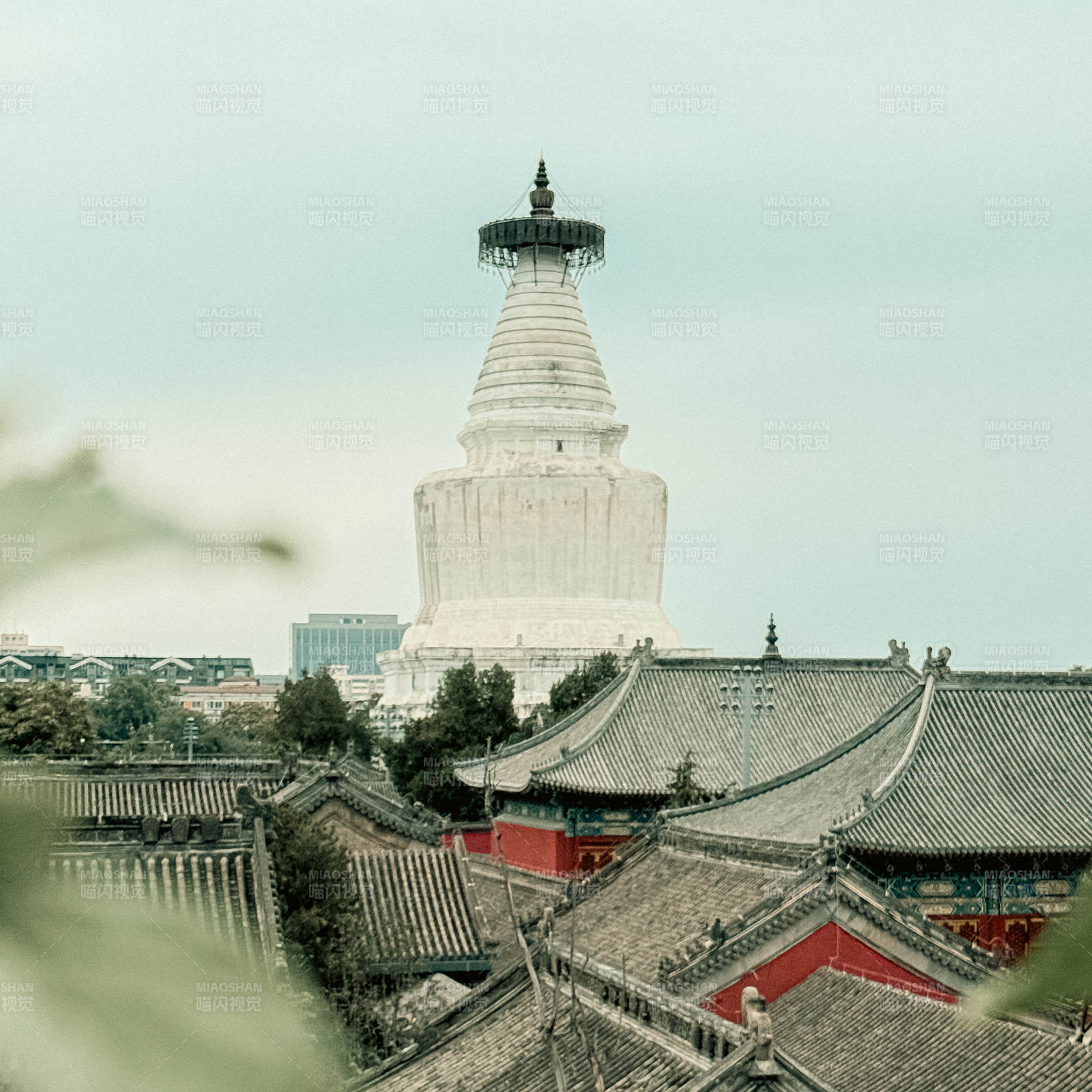 古塔與傳統建筑群景