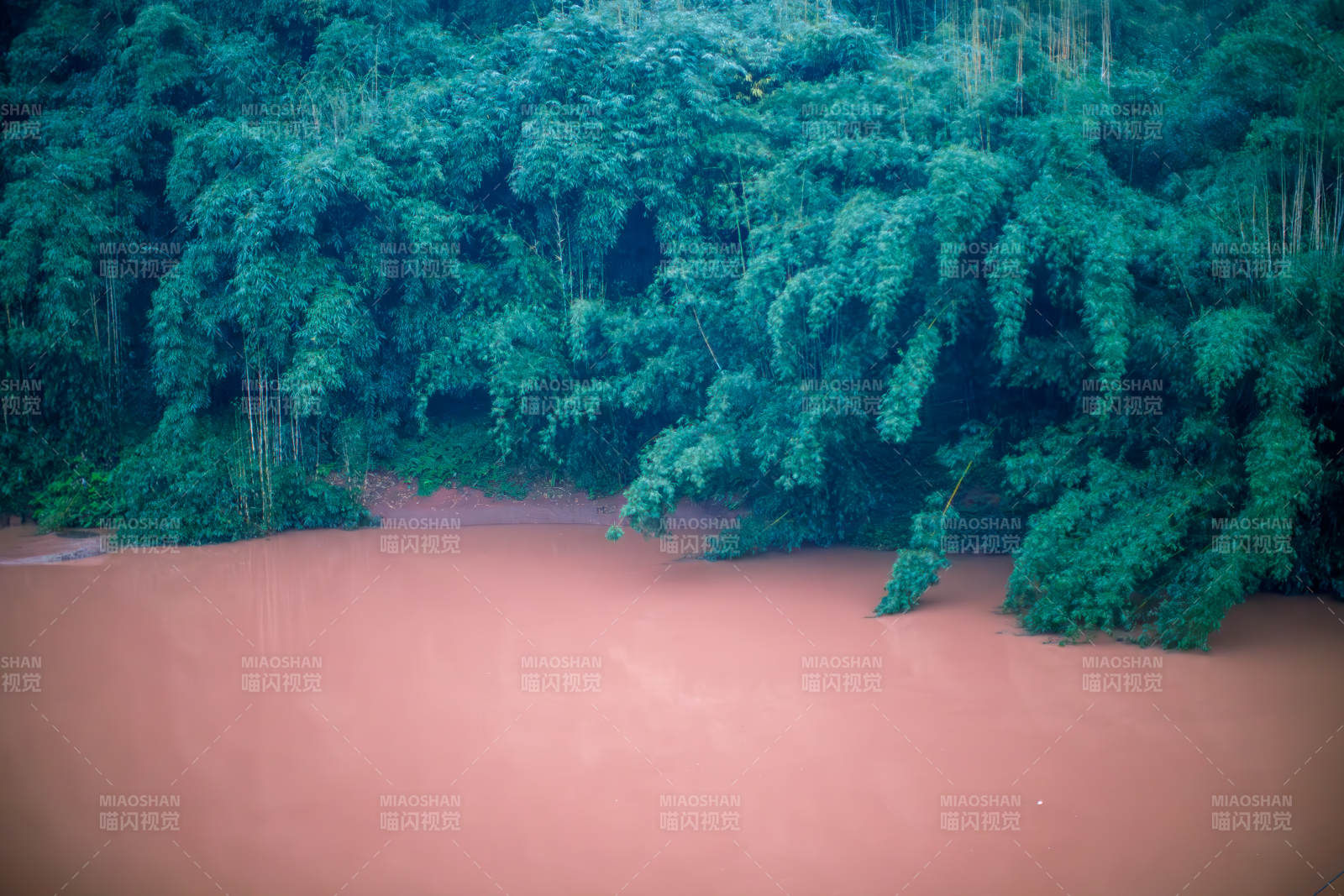 洪水淹沒(méi)竹林 赤水竹海