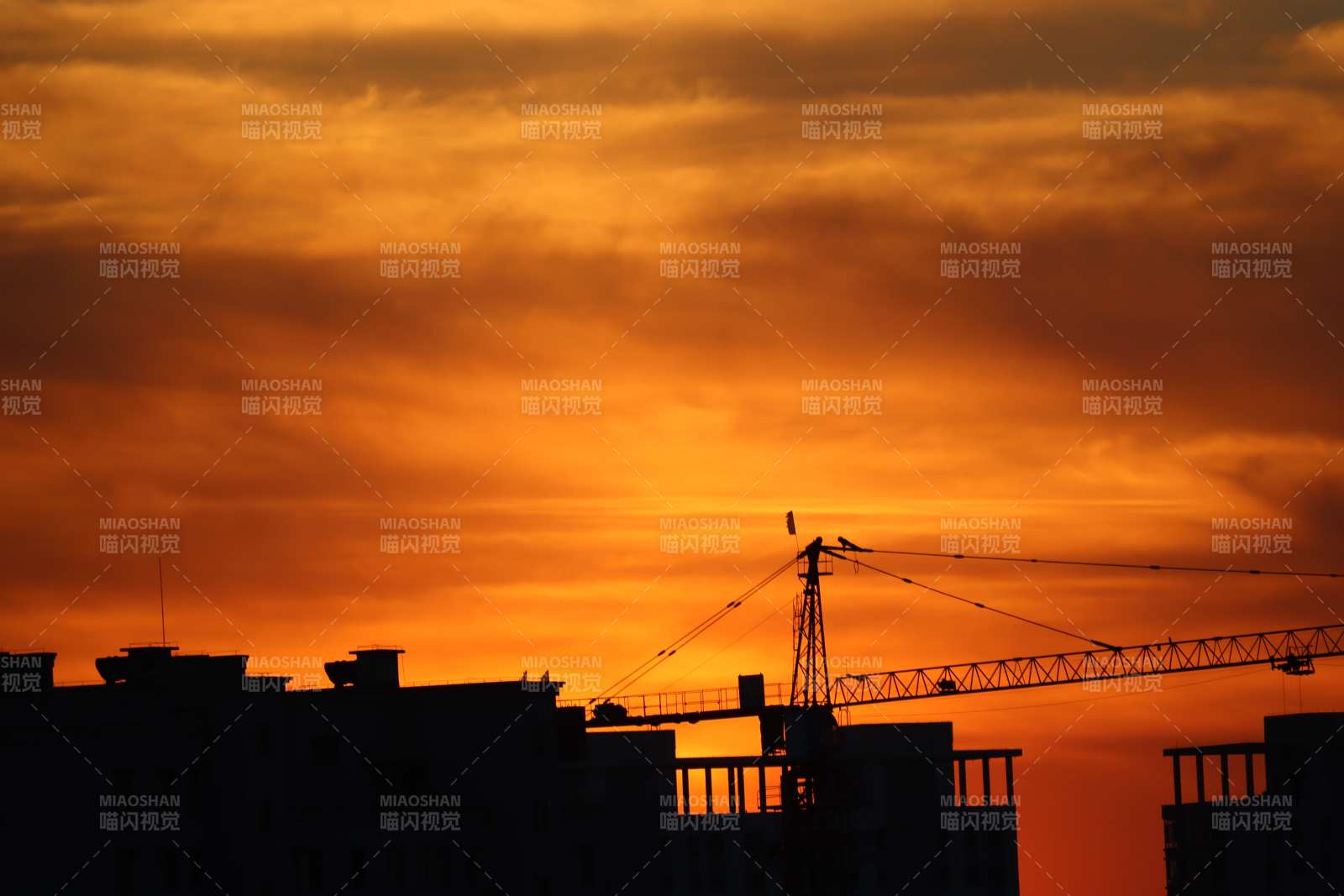夕陽下的剪影