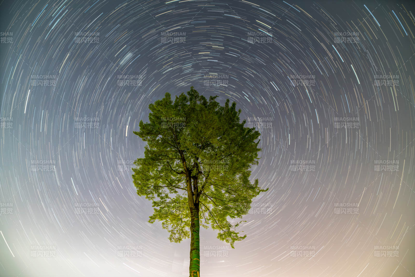 星軌環(huán)繞孤樹夜景圖