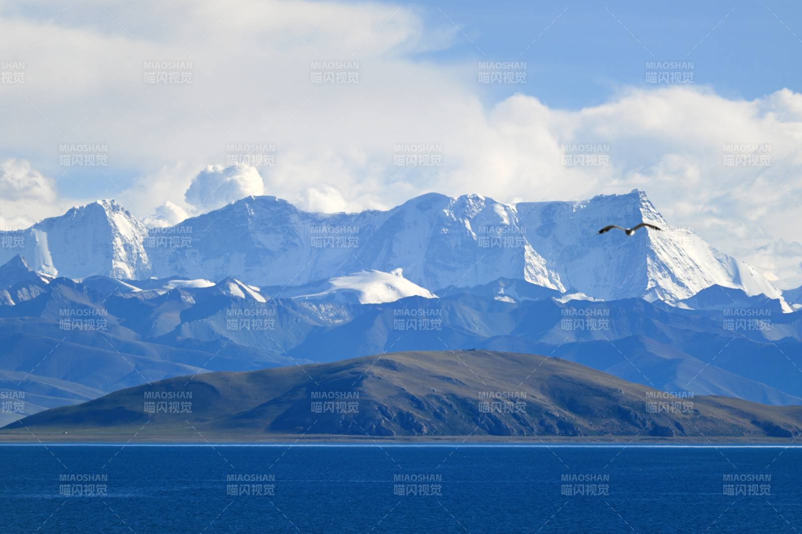 雪山湖景 飛鳥翱翔