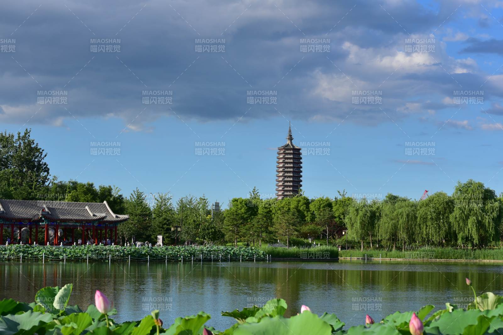 湖畔塔影 綠樹成蔭