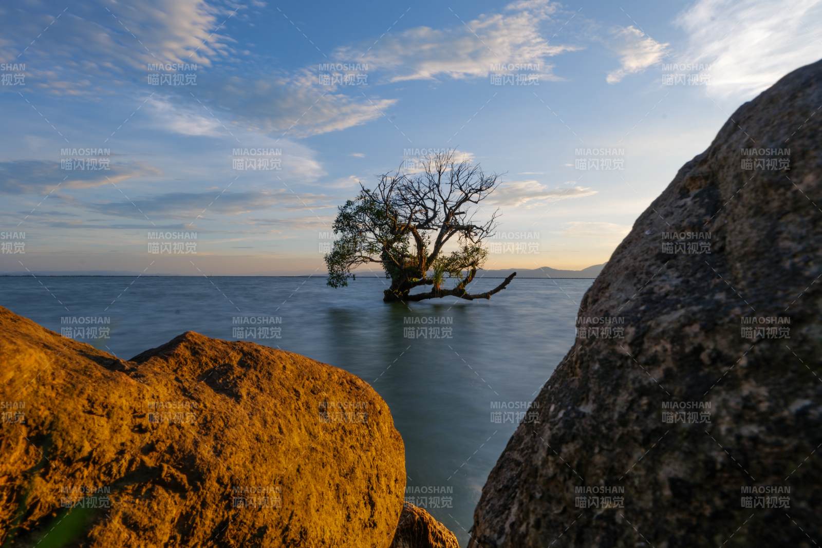 孤樹巖石海邊日落景